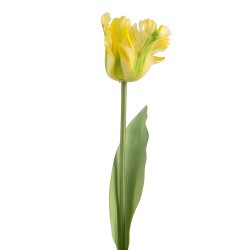 Clayre & Eef Artificial Flower Yellow Plastic