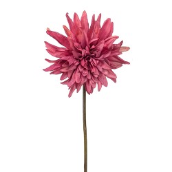 Clayre & Eef Fleur artificielle Rose Plastique