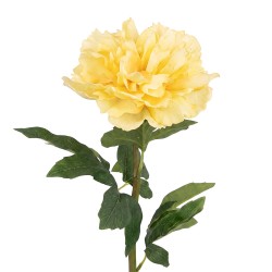 Clayre & Eef Fiore artificiale Beige Plastica