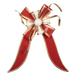 Clayre & Eef Décoration de Noël Image 30x6x38 cm Rouge Métal