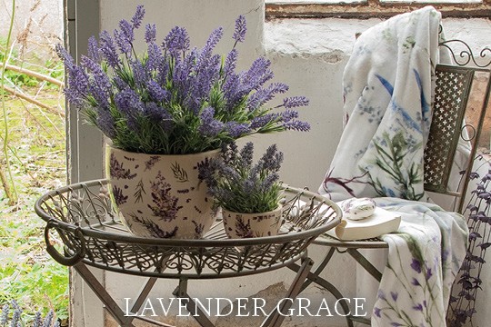 Lavender Grace