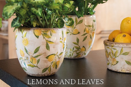 Lemons and Leaves