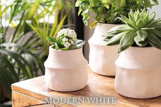 Modern White