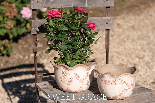 Sweet Grace
