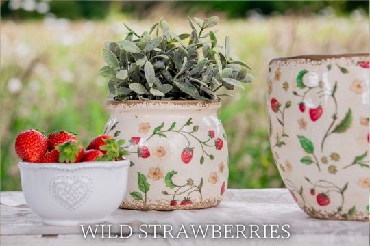 Wild Strawberries