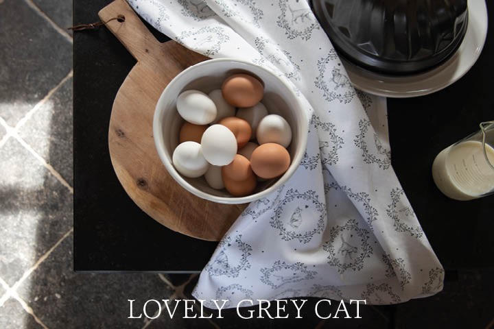 LGC Lovely Grey Cat