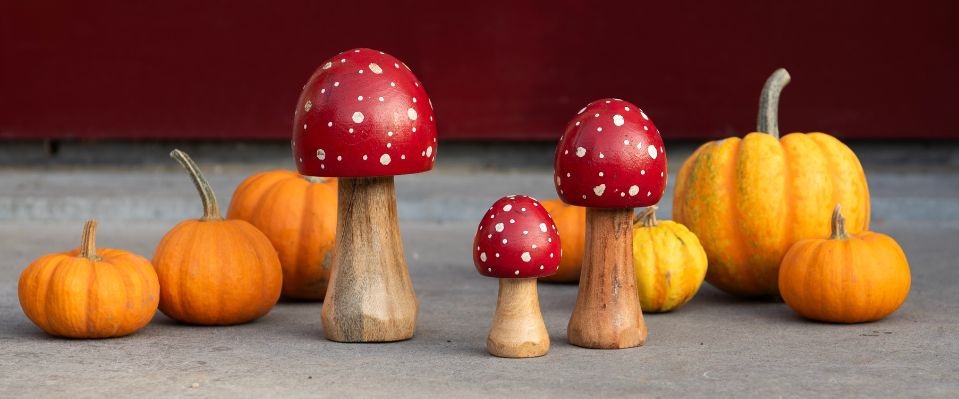 Order Clayre & Eef mushroom decorations online at MilaTonie!