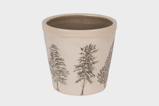 Natural Pine Trees