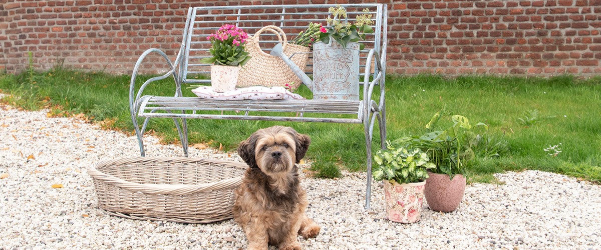 Achetez les accessoires à jardin et animaux Clayre & Eef sur MilaTonie