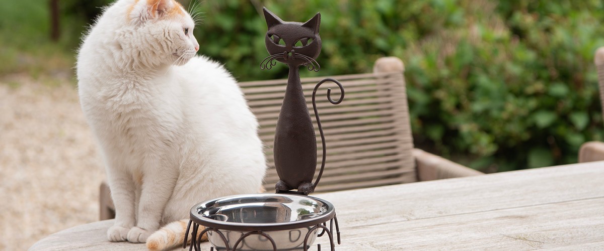 Order Clayre & Eef dog and cat feeding bowls online at MilaTonie