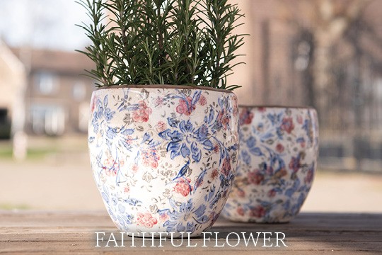 Faithful Flower