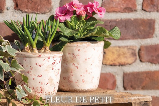 Fleur de Petit