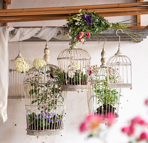 Plants enclosed in birdcages