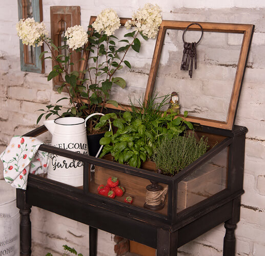 Display case with plants and a watering can.