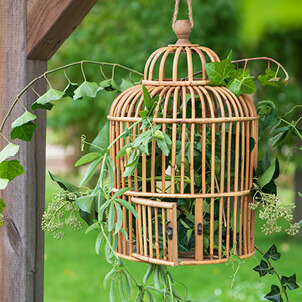Cage à oiseaux décorative avec une plante à l'intérieur.