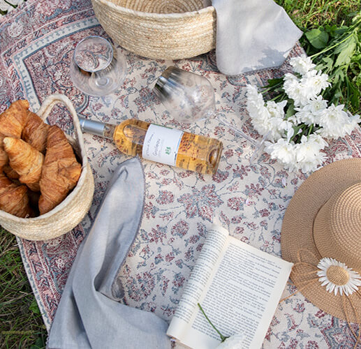 A picnic with croissants and wine.