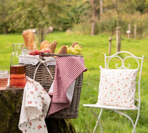 Bistroset Een picknick in de buitenlucht met rood-wit gekleurde textielen met rozen en ruitjes.