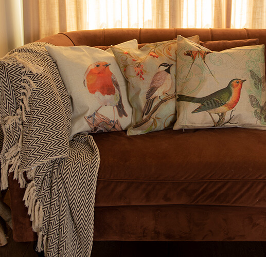 Couch with bird pillows and a blanket.