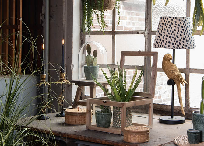 Flowerpots, candleholders with burning candles, a lamp, and a coaster.