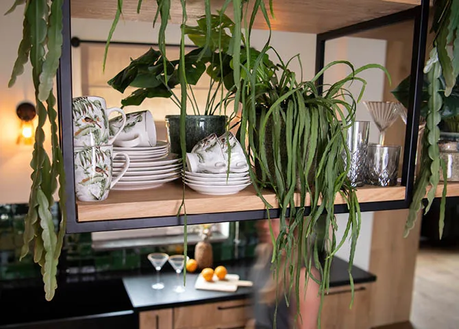 Plantes, tasses à thé, tasses à thé, assiettes, verres à cocktails, pots de fleurs, verres et planche à pain.