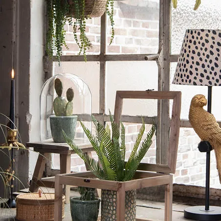 Une lampe, un tabouret, des plantes, des pots de fleurs et un bougeoir avec une bougie allumée.