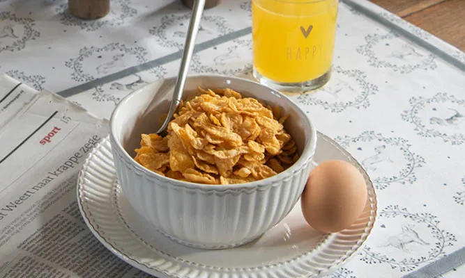 Breakfast served on a white table runner with a gray dog motif, with the dog encircled by a circle of branches.