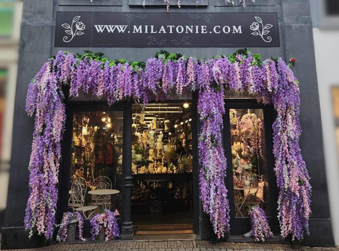 De etalage van Milatonie in Venlo is uitbundig versierd met prachtige paarse bloementrossen die over de ingang hangen. Binnen zie je een sfeervolle winkel vol woondecoratie en cadeauartikelen.