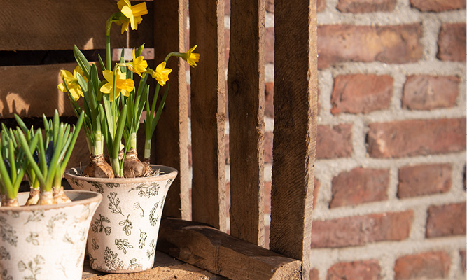 Ein kleiner Blumentopf mit Ästen darauf, und drinnen sind gelbe Frühlingsblüten