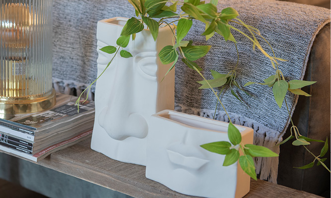 Un pot de fleurs blanc moderne et un vase avec un visage incorporé