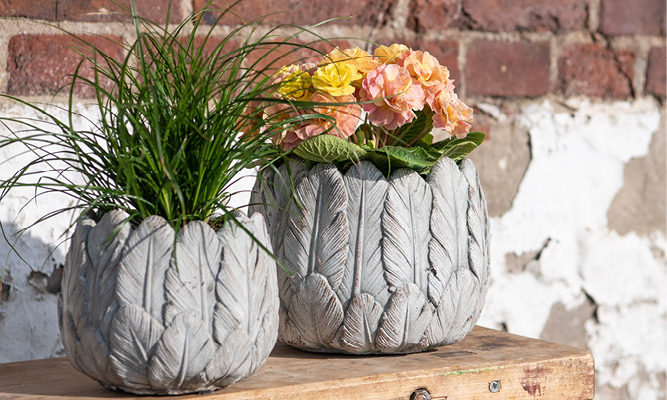 Two concrete flower pots with a feather motif, filled with plants and flowers