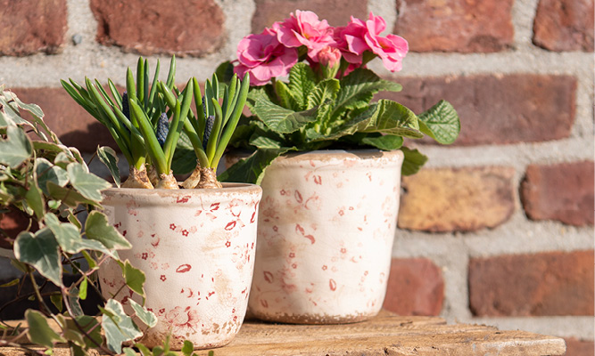 Twee romantische bloempotjes met roze bloemetjes