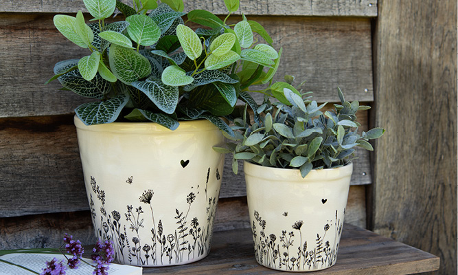 Two modern flower pots with black-illustrated wildflowers