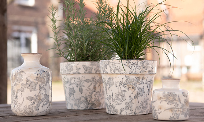 Two shabby chic flower pots with green plants inside, surrounded by two vintage vases