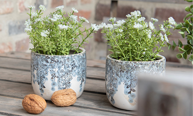 Twee witte bloempotten met een blauwe regen en walnoten en in de bloempotten zitten witte bloemetjes