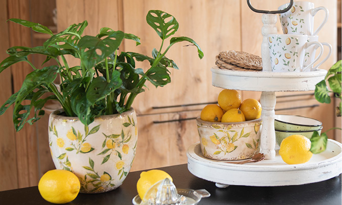 Een keuken gevuld met een witte etagere, citroenen mokjes, bloempotten met citroenen erop en losliggende citroenen