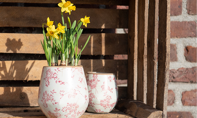 Deux pots de fleurs romantiques avec un motif floral rose remplis de fleurs jaunes