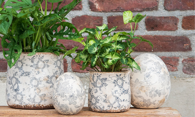 Due vasi per fiori e uova decorative con un motivo vintage, contenenti piante da interno