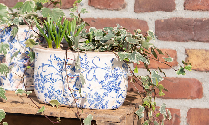 A wide flower pot with a blue floral pattern and plants inside