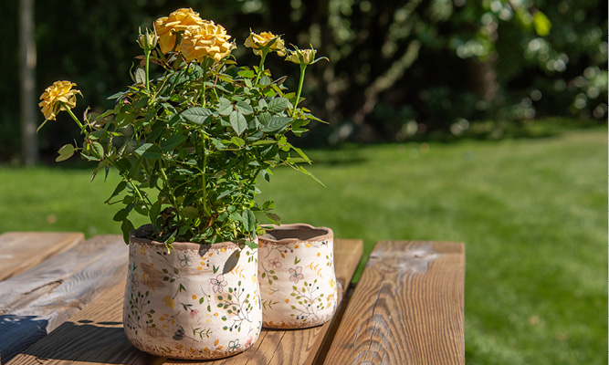 Two country-style flower pots with colorful flowers and yellow roses