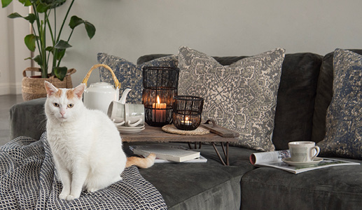 Ein graues Sofa mit schönen Zierkissen, einem Holztablett, metallenen Windlichtern und einer Katze vorne