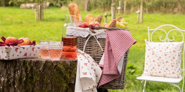 Genieße ein leckeres Picknick mit diesen 5 Tipps