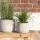 Get your garden summer-ready with planters