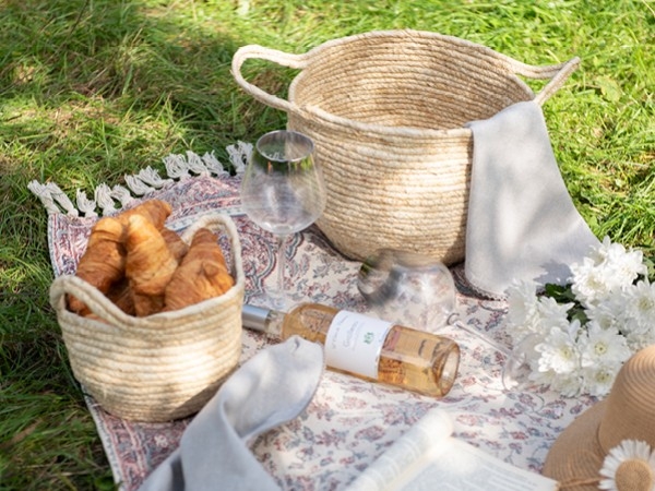 Geniesse ein leckeres Picknick mit diesen 5 Tipps